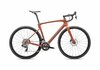 Specialized ROUBAIX EXPERT 54 COPPER/SMOKE