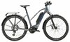 Trek Allant+ 6 Stagger L Galactic Grey 800WH