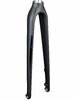 Trek Fork Rigid Trek FXS6 700c Carbon Disc 12mm Thru Bl