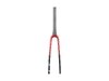 Trek Fork Rigid Domane AL2 48R Crimson