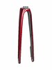 Trek Fork Rigid Trek Domane SL 5 56-62 Rage Red/Trek Bl